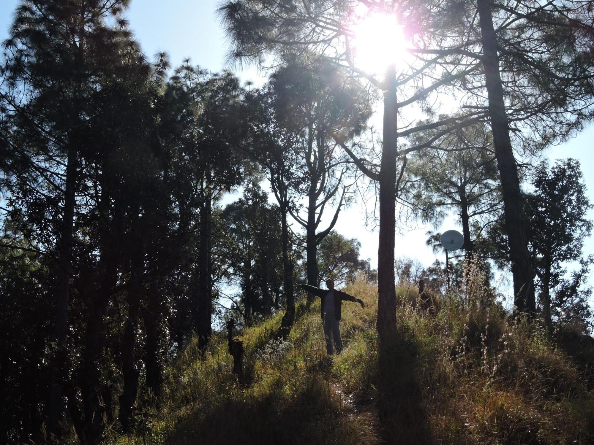 The Manora Woods - Private Hill Top, Gethiya, 나이니탈 외부 사진